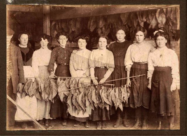 tobacco workers